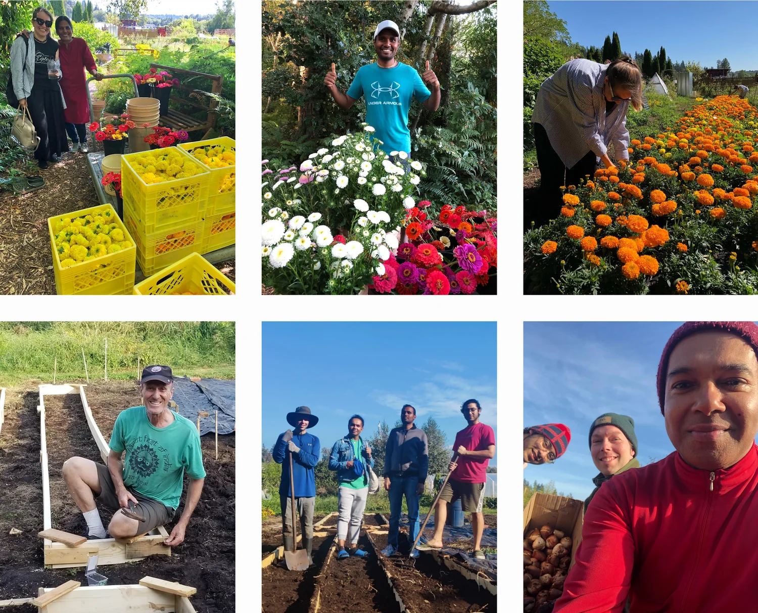 Volunteers and growers working beds at Vancouver Pushpanjali Flower Farm